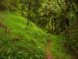 2013-07-07_Kotalm-Jochberg (142).JPG